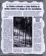 La Xunta extiende a toda Galicia la lucha contra la plaga de los eucaliptos