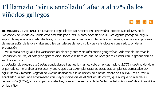 El llamado virus enrollado afecta al 12% de los viedos gallegos 