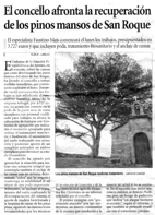 El concello afronta la recuperación de los pinos mansos de San Roque