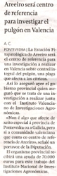 Areeiro será centro de referencia para investigar el pulgón en Valencia