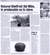 Natural Kiwifruit del Miño, la producción es la clave