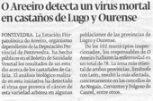 O Areeiro detecta un virus mortal en castaños de lugo y Ourense
