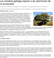 Las camelias gallegas aspiran a ser patrimonio de la humanidad