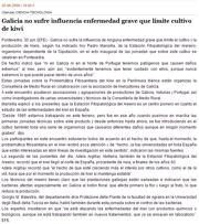 Galicia no sufre influencia enfermedad grave que limite cultivo de kiwi