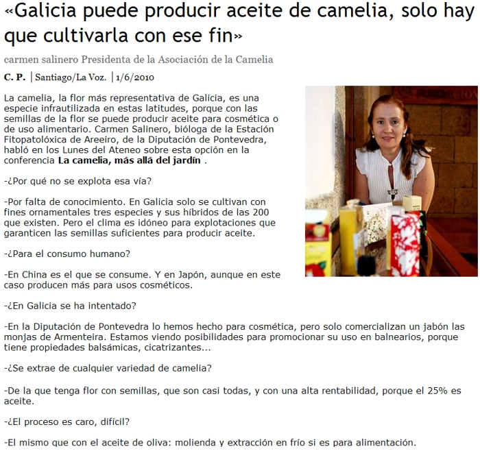 Galicia puede producir aceite de camelia, solo hay que cultivarla con ese fin 