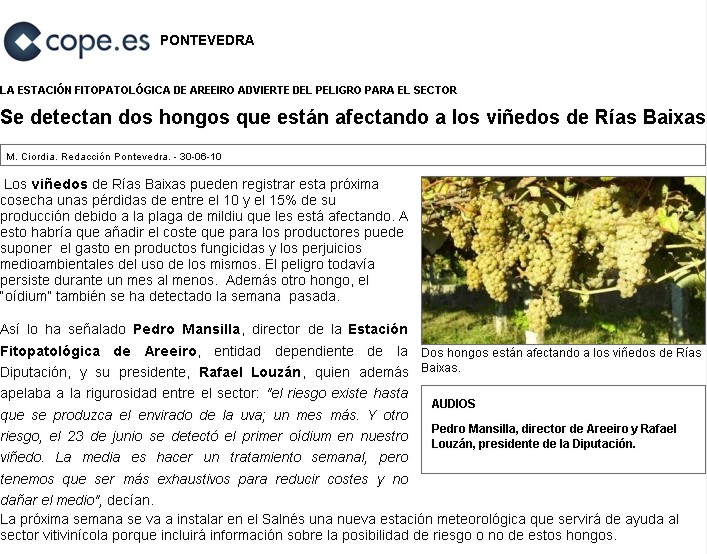 "	Se detectan dos hongos que estn afectando a los viedos de Ras Baixas