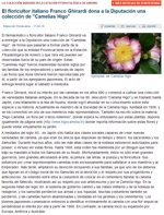 El floricultor italiano Franco Ghirardi dona a la Diputación una colección de "Camelias Higo"