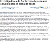 Investigadores de Pontevedra buscan una solución para la plaga de alisos