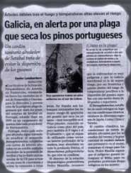 Galicia, en alerta por unha praga que seca os pieiros portugueses