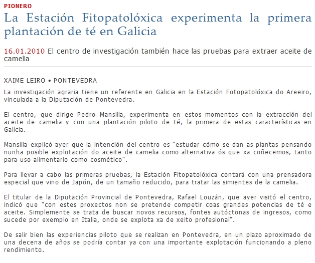 A Estacin Fitopatolxica experimenta a primeira plantacin de t en Galicia