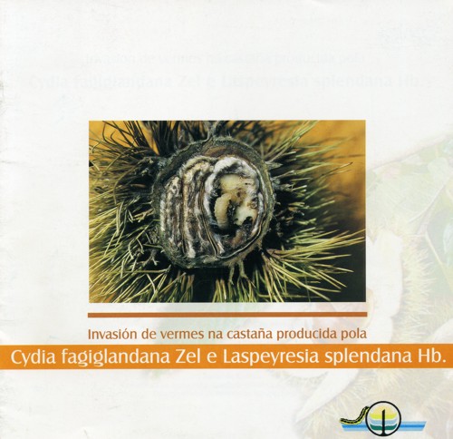 Invasin de vermes na castaa producida pola Cydia fagiglandana Zel e Laspeyresia splendana Hb.