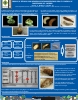 Ensayo de eficacia con nematodos entomopatógenos para el control de carpófagos del castaño