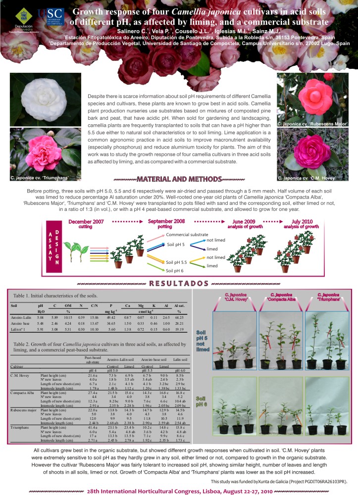 A resposta de crecemento de catro cultivos de Camellia japonica en chans cidos con diferentes pH, dependendo do encalado, e nun substrato comercial.
