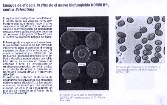 Ensayos de eficacia in vitro de el nuevo biofungicida NOMOLD contra Sclerotinia