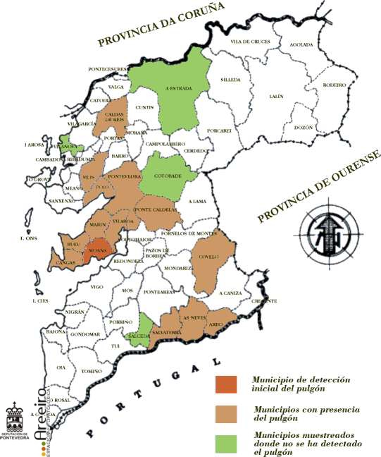 Presencia de Tuberculatus kuricola en Pontevedra